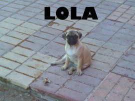 Lola