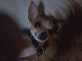 princesa