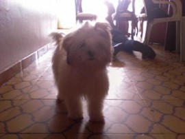 princesa