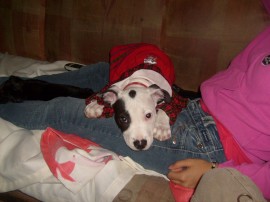 Rocko