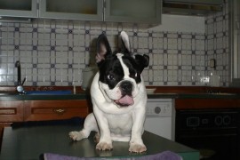 RONY