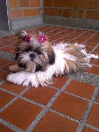 PRINCESA