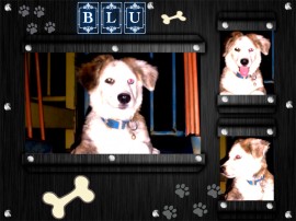 Blu