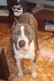 zeus
