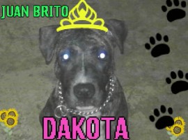 dakota