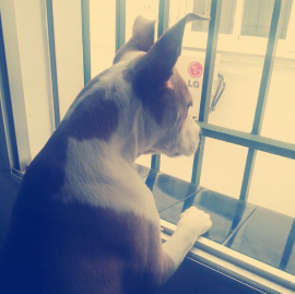 Lola