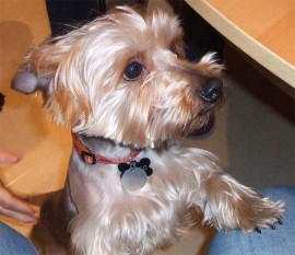 KEKO