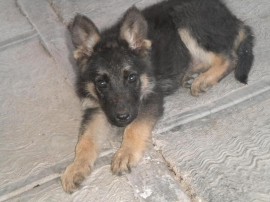 Kenia