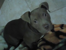 Lilith