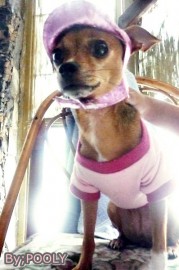 Nolee Ruiz