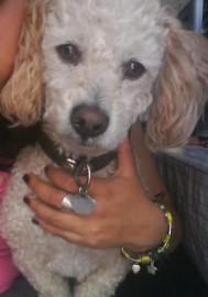 spanky