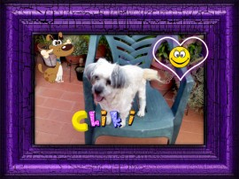 Chiki