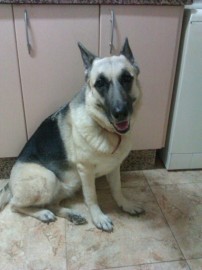 Khira
