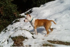 roky