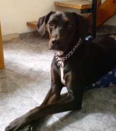 Samantha