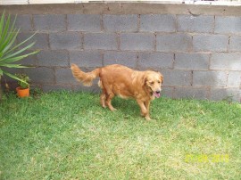 Sheyla