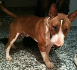 Turboo!