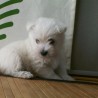 Sacha09