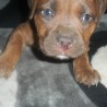 MarleyDonnaM