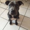 Arturo1zeus