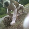 migy