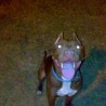 roko