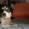 Darla123