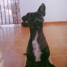 Vickywi