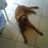 temros