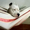 SantoAPBT