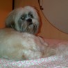 Maryvec