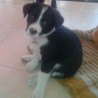 ademucero