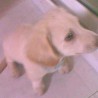 cuin03