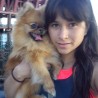 shipo