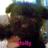 Molly7