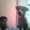 Alexcn
