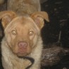 Chelo12