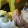 Diamondogs