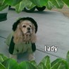 LADYTINA