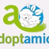 Adoptamics