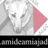 Amideamiajadas