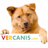 Veremo