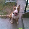 churrito25