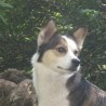 Carlos8