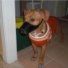 antonioytayson