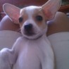 BETTY8