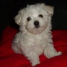 LuNNa