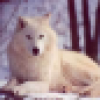 Tuperro