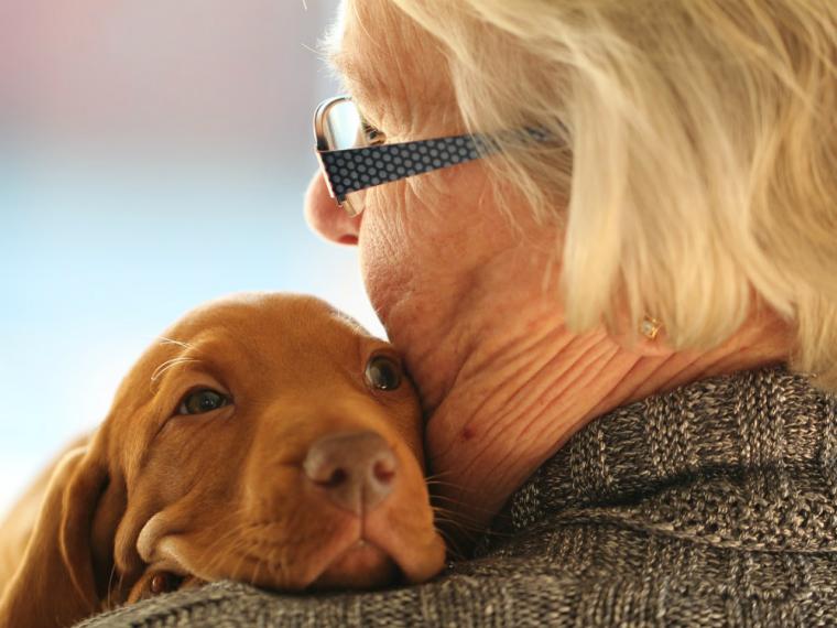 Tener un perro de depende de nuestra genética.