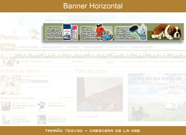 Banner Horizontal